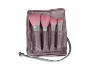 Travel brush kit
